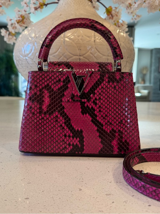 Louis Vuitton Handbags - Louis Vuitton Python Capucines Mini